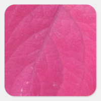 Leaf morado
