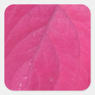 Pegatina Cuadrada Leaf morado