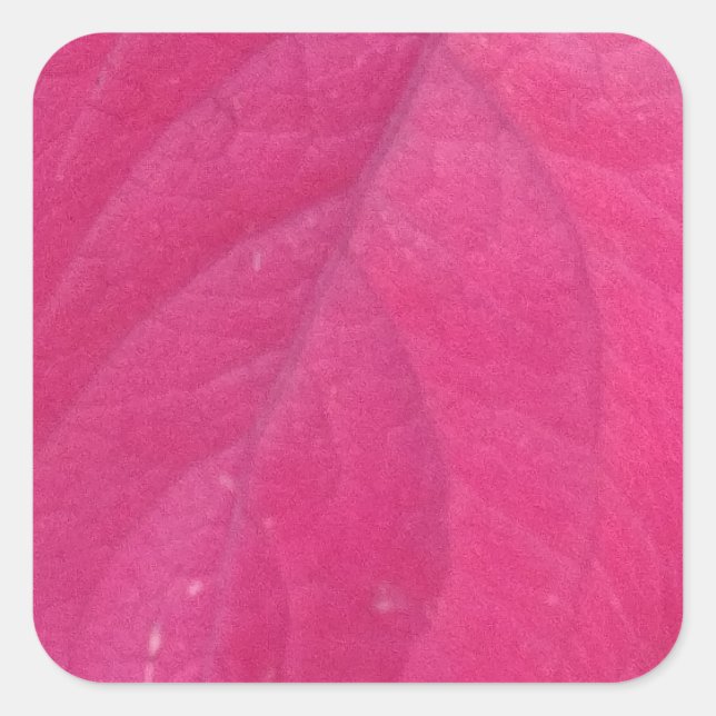 Pegatina Cuadrada Leaf morado (Anverso)