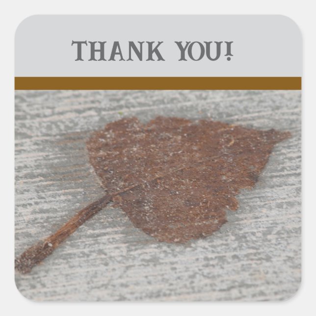 Pegatina Cuadrada Leaf thank you (Anverso)