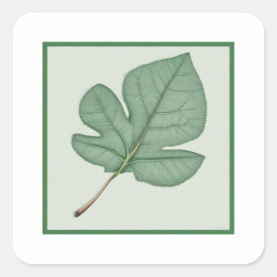 Pegatina Cuadrada Leaf verde