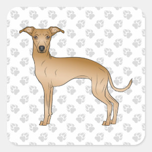 Pegatina Cuadrada Lebrel italiano cervato Diseño de perro de dibujos