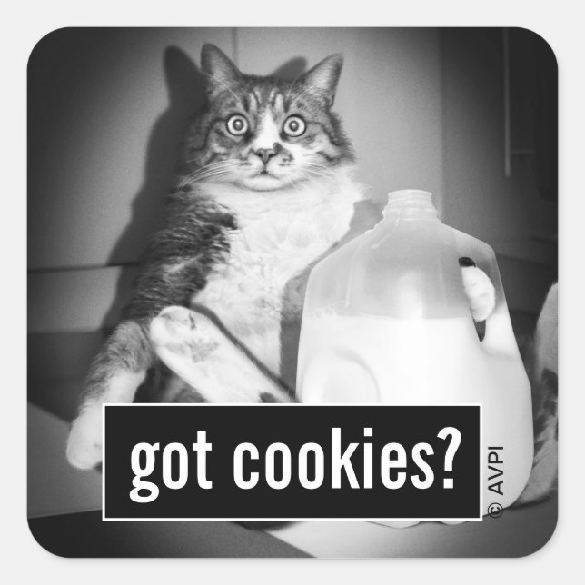 Pegatina Cuadrada Leche de gato de jug (Anverso)