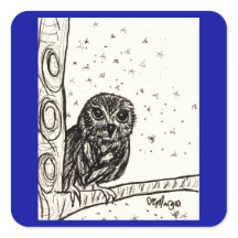 Lechuza Bebé Basándose en la Noche