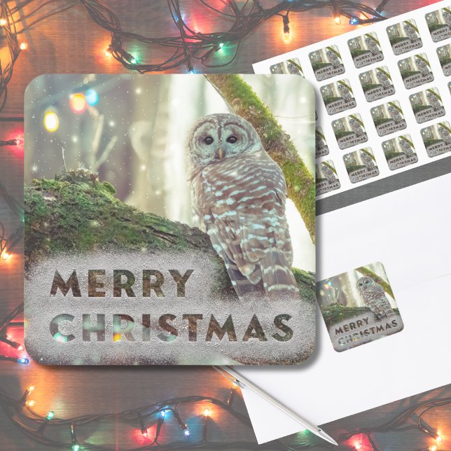 Pegatina Cuadrada Lechuza caprichosa en invierno Feliz Navidad (Original nature photography made "magical" with some editing. This owl is perfect for your cards.)