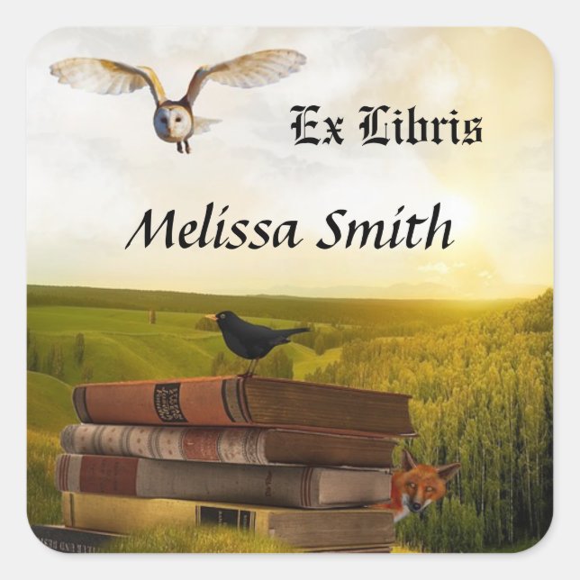 Pegatina Cuadrada Lechuza Y Libros Añadir Nombre Ex Libris (Anverso)