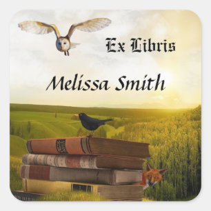 Pegatina Cuadrada Lechuza Y Libros Añadir Nombre Ex Libris