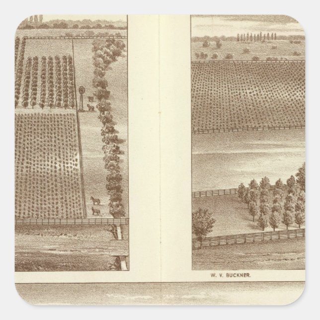 Pegatina Cuadrada Lemoore ranchos (Anverso)