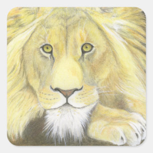 Pegatina Cuadrada León africano