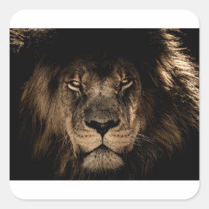 Pegatina Cuadrada León africano