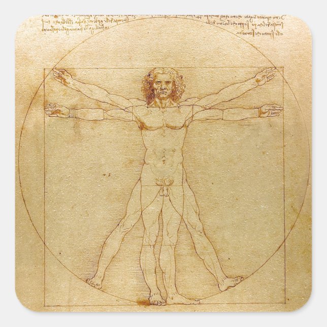 Pegatina Cuadrada Leonardo da Vinci , Vitruvian Man (Anverso)