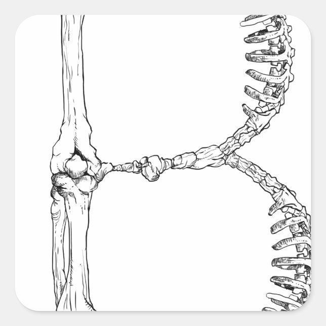 Pegatina Cuadrada Letra ósea B alfabeta (Anverso)