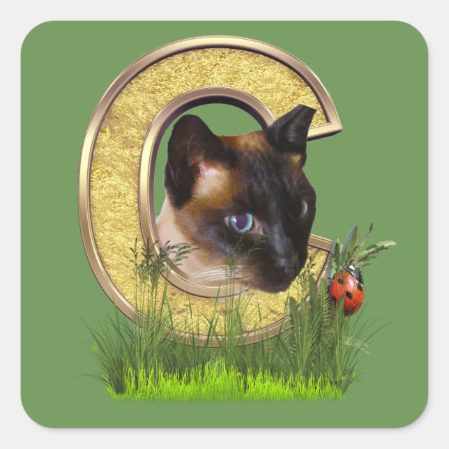 Pegatina Cuadrada Letra siamesa-capital-monograma C (Anverso)