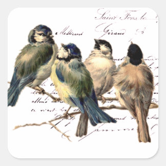 Pegatina Cuadrada Letra y pájaros franceses del vintage