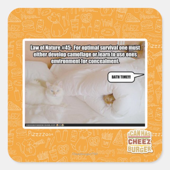 Pegatina Cuadrada Ley de la Naturaleza Nº 45 (Anverso)