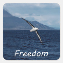 Libertad para vagar por el océano