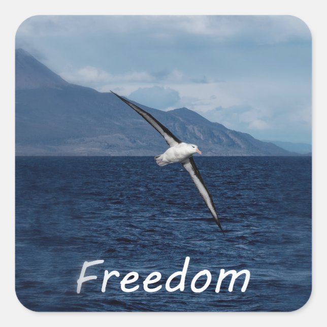Pegatina Cuadrada Libertad para vagar por el océano (Anverso)