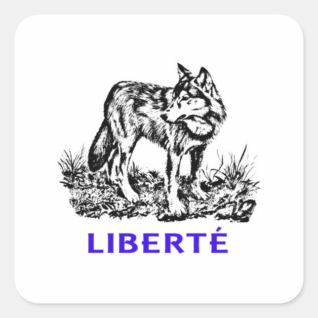 Pegatina Cuadrada Liberté - Loup dans la nature sauvage vago cerda (Anverso)