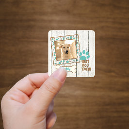 Pegatina Cuadrada Libro de fotos de perro mascota