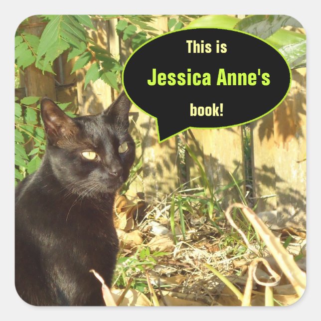 Pegatina Cuadrada Libros de Personalizados de Cat in Morning Sun (Anverso)