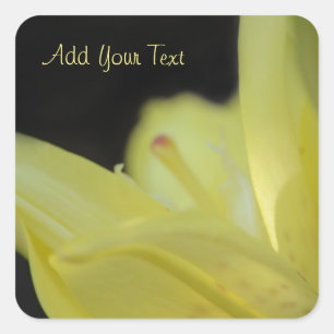 Pegatina Cuadrada Lily amarilla de Shirley Taylor