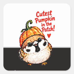 Pegatina Cuadrada Lindo pájaro gorrión chibi de Halloween calabaza