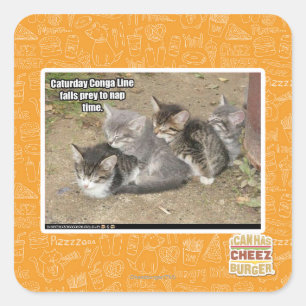 Pegatina Cuadrada Línea de Conga de Caturday