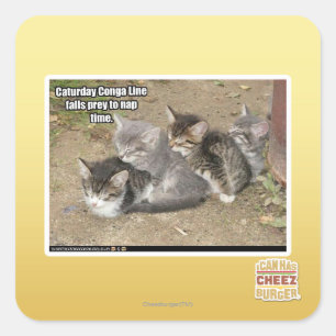 Pegatina Cuadrada Línea de Conga de Caturday