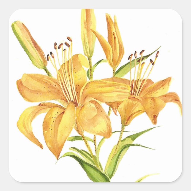 Pegatina Cuadrada Lirio tigre (Anverso)