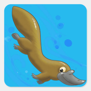 Pegatina Cuadrada Lithe Little Personalizado Platypus