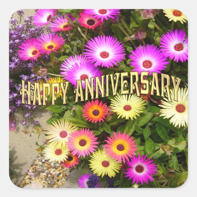 PEGATINA CUADRADA LIVINGSTONE DAISY (Anverso)