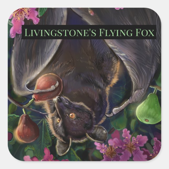 Pegatina Cuadrada Livingstone Flying Fox (Anverso)