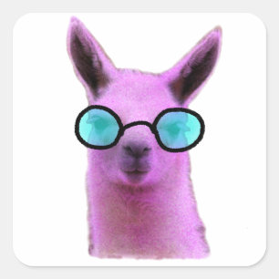 Pegatina Cuadrada Llama rosa Guay!