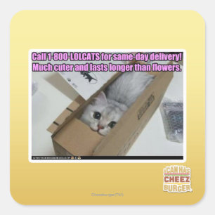 Pegatina Cuadrada Llamada 1-800-LOLCATS