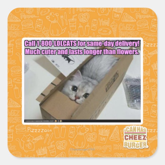 Pegatina Cuadrada Llamar al 1-800-LOLCATS (Anverso)