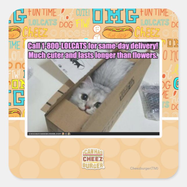 Pegatina Cuadrada Llamar al 1-800-LOLCATS (Anverso)