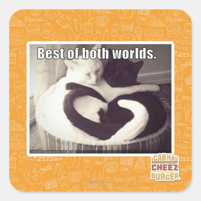 Pegatina Cuadrada Lo mejor de ambos mundos. (Anverso)