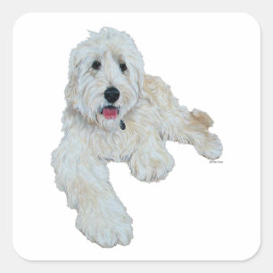 Pegatina Cuadrada Loable Goldendoodle