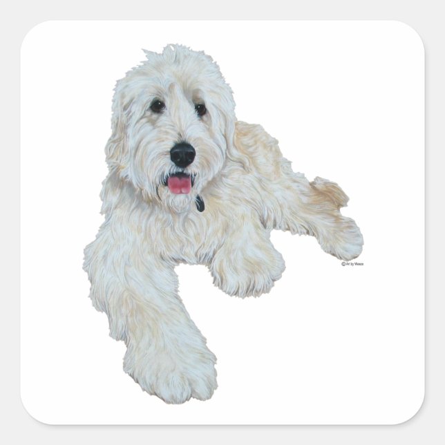 Pegatina Cuadrada Loable Goldendoodle (Anverso)