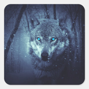 Pegatina Cuadrada Lobo salvaje mágico con ojos azules asombrosos