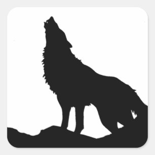 Pegatina Cuadrada Lobo solitario parado en una colina