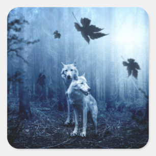 Pegatina Cuadrada Lobos en el bosque al amanecer
