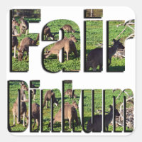 Logotipo de argot de Dinkum Aussie justo,