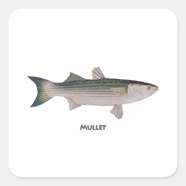 Pegatina Cuadrada Logotipo Mullet (Anverso)