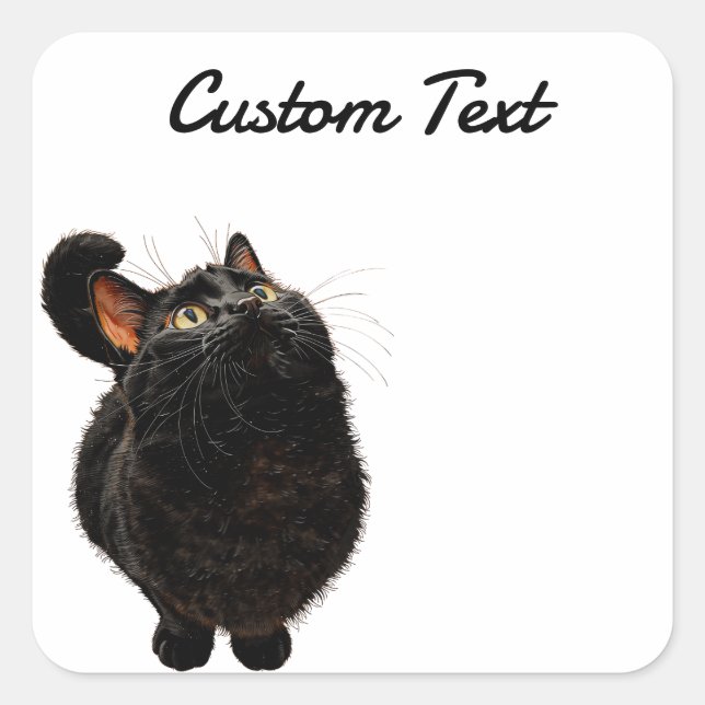 Pegatina Cuadrada Looking Up Cat -4 | Personalized Custom Text (Anverso)