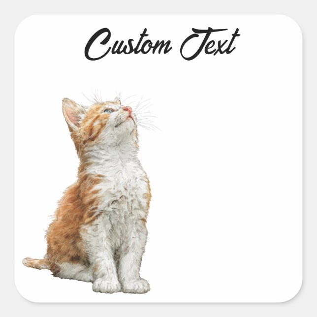 Pegatina Cuadrada Looking Up Cat | Personalized Custom Text (Anverso)