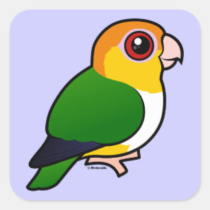 Pegatina Cuadrada loro Blanco-hinchado
