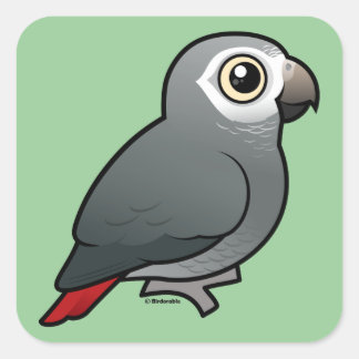 Pegatina Cuadrada Loro del gris africano de Timneh