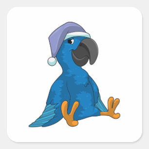 Pegatina Cuadrada Loro durmiendo con gorra nocturna