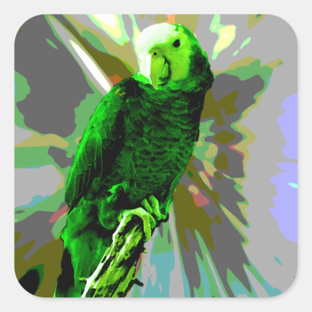 Pegatina Cuadrada Loro verde 6537 (Anverso)